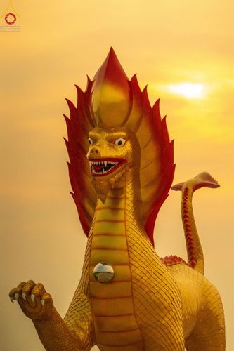 ภาพ No.200567:พิธีจุดประทีปถวายเป็นพุทธบูชา และบูชาธรรมมหาปูชนียาจารย์ ณ อนุสรณ์สถานบางปลา วัดบางปลา อำเภอบางเลน จังหวัดนครปฐม ในโครงการธรรมยาตรา กตัญญูบูชา มหาปูชนียาจารย์ พระมงคลเทพมุนี(สด จนฺทสโร) พระผู้ปราบมาร อนุสรณ์สถาน 7 แห่ง ปีที่ 13 วันที่ 23 มกราคม พ.ศ. 2568