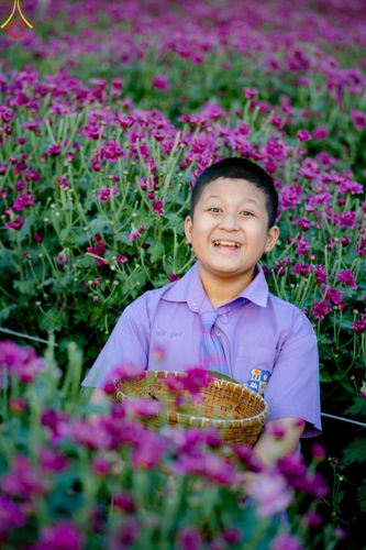 ภาพ No.186254:จิตอาสาอนุรักษ์สิ่งแวดล้อม รับบุญเก็บดอกเบญจทรัพย์ เพื่องานต้อนรับพระธรรมยาตรา ณ "ทุ่งสวรรค์ ตะวันฉาย" วัดพระธรรมกาบ วันที่ 22 ธันวาคม พ.ศ. 2567