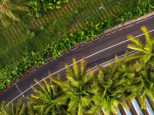 ภาพ No.105142:สามเณรธรรมทายาทชาวอินโดนีเซียกว่า 1,000 รูป เดินธรรมยาตรา บูชาพระสัมมาสัมพุทธเจ้า ณ มหาเจดีย์บุโรพุทโธ ประเทศอินโดนีเซีย ในวันที่ 27 ธันวาคม พ.ศ. 2566