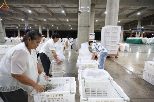 ภาพ No.127411:V.31 ทุ่มเทเพื่อบางกล่ำ การเตรียมงานของเจ้าหน้าที่หน่วยงานต่างๆ  เพื่องานธรรมยาตราอัญเชิญพระบรมสารีริกธาตุ ประดิษฐาน ณ มหารัตนเจดีย์สิริปทุมสวรรค์ (เจดีย์อริยพุทธะ 5 พระองค์) ณ ศูนย์ปฏิบัติธรรมภาคใต้ อ.บางกล่ำ จ.สงขลา ระหว่างวันที่ 9-10 มีนาคม พ.ศ. 2567