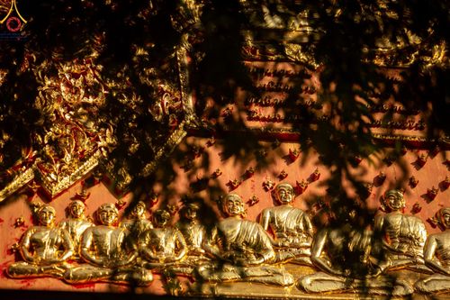 ภาพ No.201261:พระธรรมยาตราปฏิบัติธรรม และถ่ายภาพหมู่ประวัติศาสตร์ ณ อาคารธรรมยาตรา กตัญญูบูชามหาปูชนียาจารย์  ตรงข้ามวัดปากน้ำภาษีเจริญ จ.กรุงเทพมหานคร ในโครงการธรรมยาตรา กตัญญูบูชา มหาปูชนียาจารย์ พระมงคลเทพมุนี(สด จนฺทสโร) พระผู้ปราบมาร อนุสรณ์สถาน 7 แห่ง ปีที่ 13