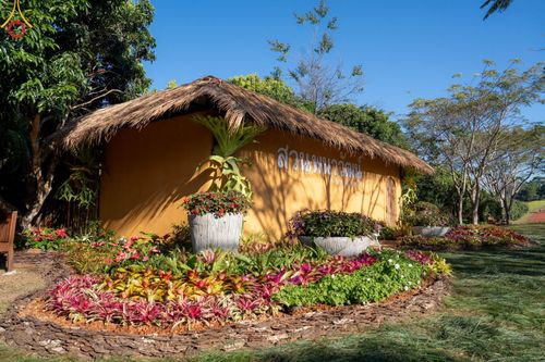 ภาพ No.188277:บรรยากาศ ทุ่งสวรรค์หรรษาพนาวัฒน์ ณ สวนพนาวัฒน์ อ.ฮอด จ.เชียงใหม่ เปิดให้เข้าชมฟรี ระหว่างวันที่ 28 ธันวาคม พ.ศ. 2567 ถึง วันที่ 3 มกราคม พ.ศ. 2568 เวลา 08.00-17.00 น.