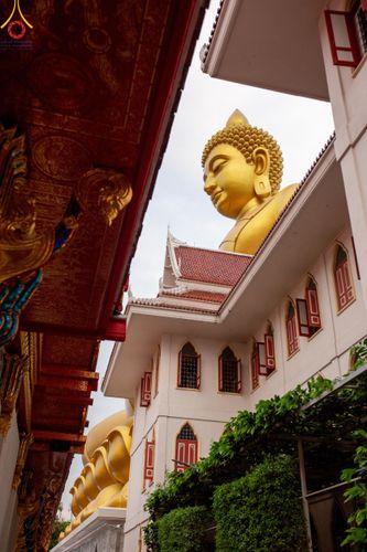 ภาพ No.118951:คณะพุทธบุตรธรรมยาตราร่วมปฏิบัติธรรม และถ่ายภาพหมู่ประวัติศาสตร์ ในโครงการธรรมยาตราฯ ปีที่ 12  วันที่ 25 มกราคม พ.ศ. 2567  ณ อาคารธรรมยาตรา กตัญญูบูชามหาปูชนียาจารย์  ตรงข้ามวัดปากน้ำภาษีเจริญ จ.กรุงเทพมหานคร