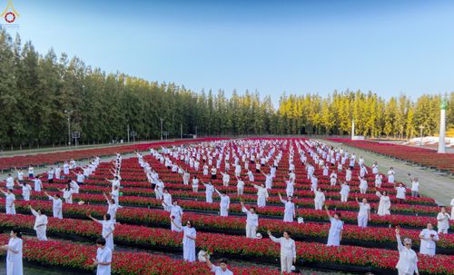 ภาพ No.280959:วันที่ 28 ธันวาคม พ.ศ.2568 กิจกรรมเก็บดอกแพงรวย ณ ทุ่งสวรรค์ตะวันฉาย วัดพระธรรมกาย