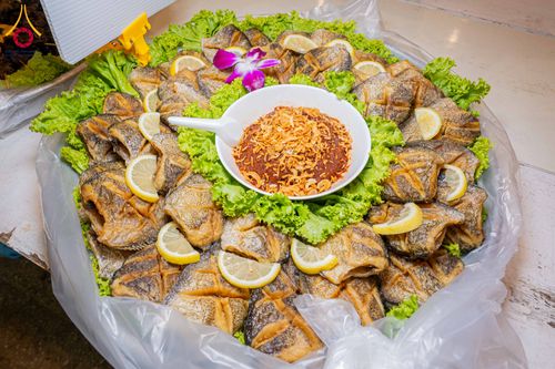 ภาพ No.303906:วันที่ 28 มกราคม พ.ศ. 2569 พิธีถวายภัตตาหารเป็นสังฆทาน แด่พระธรรมยาตรา ณ วัดพระธรรมกาย  จังหวัดปทุมธานี ในโครงการธรรมยาตรา กตัญญูบูชา มหาปูชนียาจารย์ พระมงคลเทพมุนี(สด จนฺทสโร) พระผู้ปราบมาร อนุสรณ์สถาน 7 แห่ง ปีที่ 14