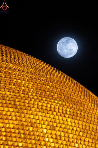 ภาพ No.279389:พิธีจุดวิสาขประทีป พิธีเวียนประทักษิณ ในวันวิสาขบูชา พุธที่ 22 พฤษภาคม พ.ศ. 2567 ( วันพระขึ้น 15 ค่ำ เดือน 6 ) ณ ลานธรรม พระมหาธรรมกายเจดีย์ วัดพระธรรมกาย จ.ปทุมธานี