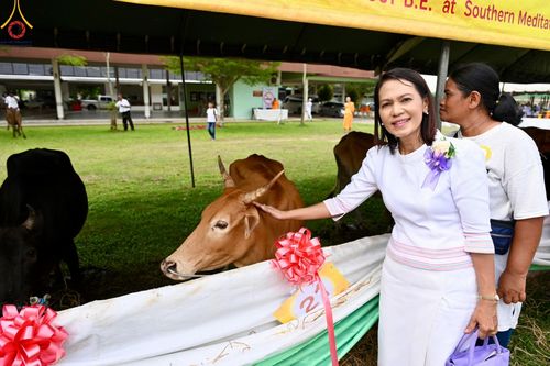 ภาพ No.148743:พิธีบุพเปตพลี, พิธีทอดผ้าป่า, พิธีไถ่ชีวิตโค 80 ตัว ให้ชีวิตสัตว์เป็นทาน ณ ศูนย์ปฎิบัติธรรมภาคใต้ อ.บางกล่ำ จ.สงขลา วันเสาร์ที่ 10 สิงหาคม พ.ศ. 2567