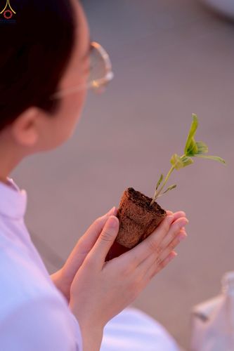 ภาพ No.252992:วันที่ 10 ตุลาคม พ.ศ. 2568 พิธีปลูกต้นทรัพย์บานชื่น ณ ลานธรรม วัดพระธรรมกาย