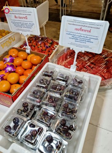 ภาพ No.120707:พิธีถวายภัตตาหารเป็นสังฆทาน แด่คณะพระธรรมยาตรา ปีที่ 12 วันที่ 29 มกราคม พ.ศ. 2567 ณ สภาธรรมกายสากล วัดพระธรรมกาย