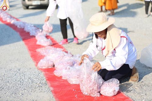 ภาพ No.108752:V.6 บุญเข้า การเตรียมงาน เก็บงาน การรับบุญของเจ้าหน้าที่หน่วยงานต่างๆ เพื่อโครงการธรรมยาตรา กตัญญูบูชามหาปูชนียาจารย์ พระมงคลเทพมุนี (สด จนฺทสโร) พระผู้ปราบมาร อนุสรณ์สถาน 7 แห่ง ปีที่ 12 ระหว่างวันที่ 2 - 31 มกราคม พ.ศ.2567