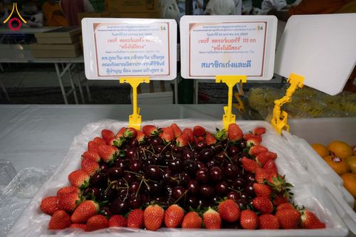 ภาพ No.301813:วันที่ 24 มกราคม พ.ศ. 2569 พิธีถวายภัตตาหารเป็นสังฆทาน แด่พระธรรมยาตรา ณ อนุสรณ์สถานบางปลา วัดบางปลา อำเภอบางเลน จังหวัดนครปฐม ในโครงการธรรมยาตรา กตัญญูบูชา มหาปูชนียาจารย์ พระมงคลเทพมุนี(สด จนฺทสโร) พระผู้ปราบมาร อนุสรณ์สถาน 7 แห่ง ปีที่ 14