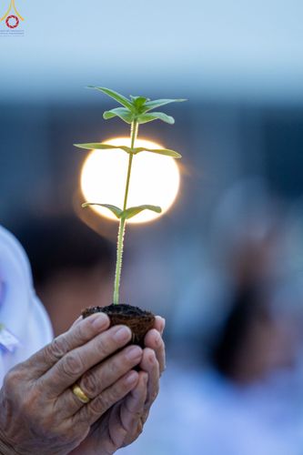 ภาพ No.90210:พิธีปลูกทรัพย์บานชื่น  เนื่องใน 139 ปี วันคล้ายวันเกิดด้วยรูปกายเนื้อ พระมงคลเทพมุนี (สด จนฺทสโร) พระผู้ปราบมาร วันอังคารที่ 10 ตุลาคม พ.ศ. 2566 ณ วัดพระธรรมกาย จ.ปทุมธานี