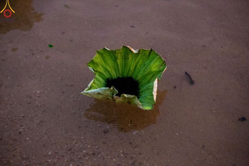 ภาพ No.63373:Photo Story  มหัศจรรย์วัดดงดินแดง Episode 1  พิธีปลงผมนาคธรรมทายาท  ในโครงการบรรพชาอุปสมบทหมู่ ฟื้นฟูพระพุทธศาสนาทั่วไทย วัดดงดินแดง ณ ลำน้ำแม่ตื่น อ.อมก๋อย จ.เชียงใหม่ วันที่ 2 เมษายน พ.ศ. 2567