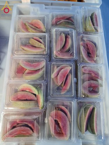 ภาพ No.200966:พิธีถวายภัตตาหารเป็นสังฆทาน แด่พระธรรมยาตรา ณ อนุสรณ์สถานบางปลา วัดบางปลา อำเภอบางเลน จังหวัดนครปฐม ในโครงการธรรมยาตรา กตัญญูบูชา มหาปูชนียาจารย์ พระมงคลเทพมุนี(สด จนฺทสโร) พระผู้ปราบมาร อนุสรณ์สถาน 7 แห่ง ปีที่ 13 วันที่ 24 มกราคม พ.ศ. 2568