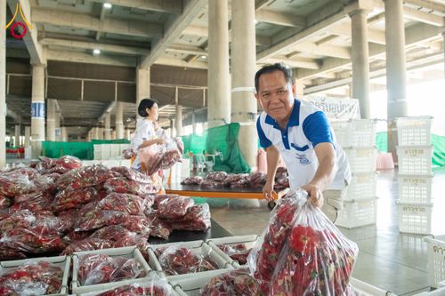 ภาพ No.279462:วันที่ 19-26 ธันวาคม พ.ศ. 2568 และ วันที่ 1 มกราคม พ.ศ.2569 รับบุญปลิดกลีบดอกไม้ เพื่อโปรยต้อนรับพระธรรมยาตรา