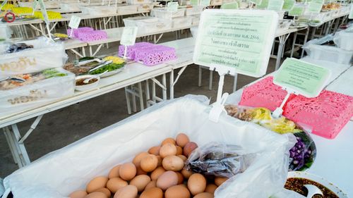 ภาพ No.72179:พิธีถวายภัตตาหารเป็นสังฆทาน แด่คณะพระธรรมยาตราฯ ในโครงการธรรมยาตรากตัญญูบูชา มหาปูชนียาจารย์ พระมงคลเทพมุนี(สด จนฺทสโร) พระผู้ปราบมาร อนุสรณ์สถาน 7 แห่ง ปีที่ 11 วันที่ 18 มกราคม พ.ศ. 2566