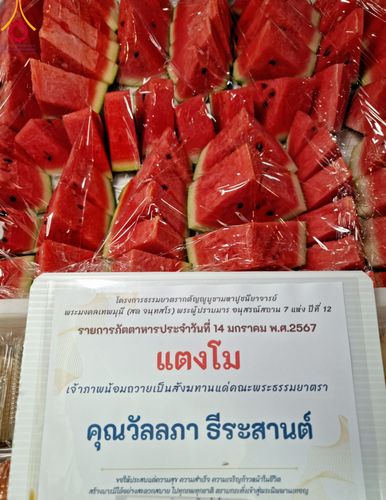 ภาพ No.111911:พิธีถวายภัตตาหารเป็นสังฆทาน แด่คณะพระธรรมยาตราฯ ในโครงการธรรมยาตรา กตัญญูบูชา มหาปูชนียาจารย์ พระมงคลเทพมุนี(สด จนฺทสโร) พระผู้ปราบมาร อนุสรณ์สถาน 7 แห่ง ปีที่ 12 วันที่ 14 มกราคม พ.ศ. 2567 ณ อนุสรณ์สถานมหาวิหารพระมงคลเทพมุนี  (โลตัสแลนด์) อ.สองพี่น้อง จ