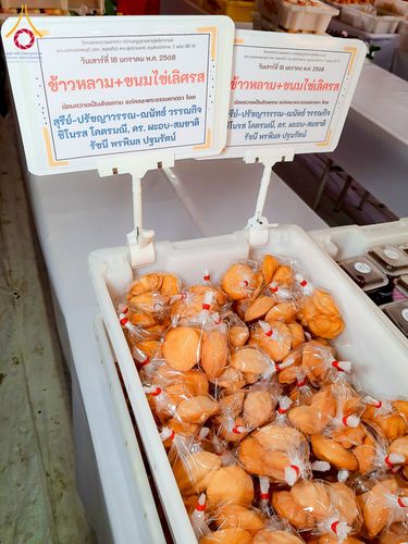 ภาพ No.196978:พิธีถวายภัตตาหารเป็นสังฆทาน แด่พระธรรมยาตรา ณ วัดโบสถ์(บน) ตำบลบางคูเวียง อำเภอบางกรวย จังหวัดนนทบุรี ในโครงการธรรมยาตรา กตัญญูบูชา มหาปูชนียาจารย์ พระมงคลเทพมุนี(สด จนฺทสโร) พระผู้ปราบมาร อนุสรณ์สถาน 7 แห่ง ปีที่ 13 วันที่ 18 มกราคม พ.ศ. 2568