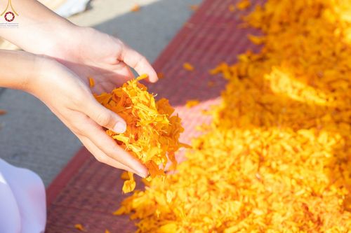 ภาพ No.70908:พิธีต้อนรับพระธรรมยาตรา ในโครงการธรรมยาตรากตัญญูบูชา มหาปูชนียาจารย์ พระมงคลเทพมุนี(สด จนฺทสโร) พระผู้ปราบมาร อนุสรณ์สถาน 7 แห่ง ปีที่ 11 วันที่ 14 มกราคม พ.ศ. 2566 ณ อนุสรณ์สถานลำดับที่ 3 สถานที่เกิดในเพศสมณะ วัดสองพี่น้อง อ.สองพี่น้อง จ.สุพรรณบุรี