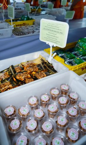 ภาพ No.74178:พิธีถวายภัตตาหารเป็นสังฆทาน แด่คณะพระธรรมยาตราฯ ในโครงการธรรมยาตรากตัญญูบูชา มหาปูชนียาจารย์ พระมงคลเทพมุนี(สด จนฺทสโร) พระผู้ปราบมาร อนุสรณ์สถาน 7 แห่ง ปีที่ 11 วันที่ 25 มกราคม พ.ศ. 2566