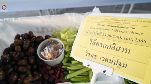 ภาพ No.73936:พิธีถวายภัตตาหารเป็นสังฆทาน แด่คณะพระธรรมยาตราฯ ในโครงการธรรมยาตรากตัญญูบูชา มหาปูชนียาจารย์ พระมงคลเทพมุนี(สด จนฺทสโร) พระผู้ปราบมาร อนุสรณ์สถาน 7 แห่ง ปีที่ 11 วันที่ 23 มกราคม พ.ศ. 2566