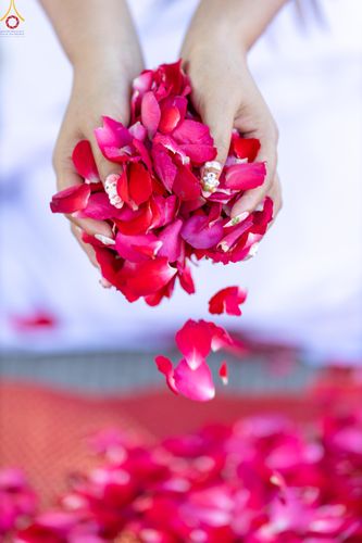 ภาพ No.287017:วันที่ 2 มกราคม พ.ศ.2569 พิธีต้อนรับพระธรรมยาตรา ครั้งที่ 1 (ภาพชุดที่ 2) ณ วัดพระธรรมกาย (วิหารหลวงปู่ - พระมหาธรรมกายเจดีย์)