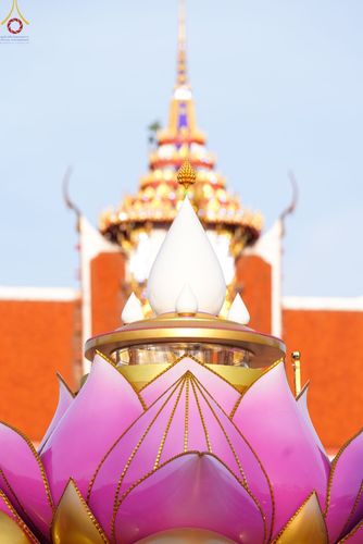 ภาพ No.73352:พิธีจุดประทีปถวายเป็นพุทธบูชา และบูชาธรรมมหาปูชนียาจารย์ ในโครงการธรรมยาตรากตัญญูบูชา มหาปูชนียาจารย์ พระมงคลเทพมุนี(สด จนฺทสโร) พระผู้ปราบมาร ปีที่ 11 ณ อนุสรณ์สถานลำดับที่ 4 สถานที่เกิดด้วยกายธรรม วัดโบสถ์ (บน) บางคูเวียง อ.บางกรวย จ.นนทบุรี วันที่ 21 