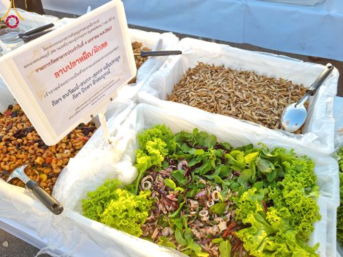 ภาพ No.106046:พิธีถวายภัตตาหารเป็นสังฆทาน แด่คณะพระธรรมยาตราฯ ในโครงการธรรมยาตรากตัญญูบูชา มหาปูชนียาจารย์ พระมงคลเทพมุนี(สด จนฺทสโร) พระผู้ปราบมาร อนุสรณ์สถาน 7 แห่ง ปีที่ 12 วันที่ 3 มกราคม พ.ศ. 2567 ณ อนุสรณ์สถานโลตัสแลนด์ จ.สุพรรณบุรี