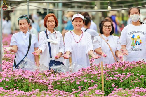 ภาพ No.66664:สาธุชนรับบุญตัดดอกทรัพย์บานชื่น ระหว่างวันที่ 9-10 ธันวาคม พ.ศ. 2565 ณ วัดพระธรรมกาย