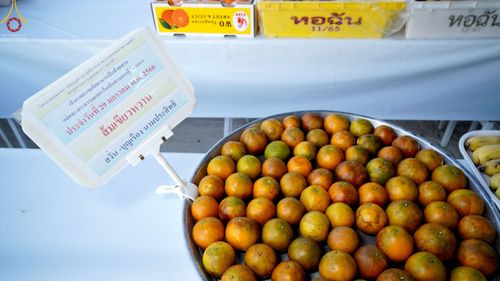 ภาพ No.74966:พิธีถวายภัตตาหารเป็นสังฆทาน แด่คณะพระธรรมยาตราฯ ในโครงการธรรมยาตรากตัญญูบูชา มหาปูชนียาจารย์ พระมงคลเทพมุนี(สด จนฺทสโร) พระผู้ปราบมาร อนุสรณ์สถาน 7 แห่ง ปีที่ 11 วันที่ 29 มกราคม พ.ศ. 2566