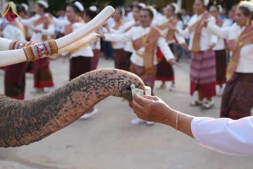 ภาพ No.323282:วันอาทิตย์ที่ 19 เมษายน พ.ศ. 2569 พิธีเจริญพระพุทธมนต์สมโภช “พระพุทธเมตตา” อัญเชิญพระบรมสารีริกธาตุ เพื่อบรรจุและประดิษฐาน ณ เกศมาลา “พระพุทธเมตตา” พระประธานในศาลาการเปรียญวัดหนองเต่า ณ วัดหนองเต่า ต.บึงพะไล อ.แก้งสนามนาง จ.นครราชสีมา