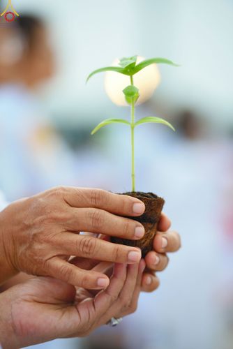 ภาพ No.90115:พิธีปลูกทรัพย์บานชื่น  เนื่องใน 139 ปี วันคล้ายวันเกิดด้วยรูปกายเนื้อ พระมงคลเทพมุนี (สด จนฺทสโร) พระผู้ปราบมาร วันอังคารที่ 10 ตุลาคม พ.ศ. 2566 ณ วัดพระธรรมกาย จ.ปทุมธานี