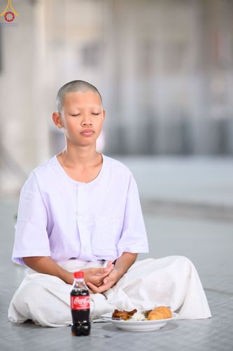 ภาพ No.79597:การปฎิบัติธรรมและกิจวัตรกิจกรรม ของนาคธรรมทายาท ในโครงการบรรพชาสามเณรฟื้นฟูพระพุทธศาสนาทั่วไทย และโครงการมัชฌิมธรรมทายาท วันที่ 4 เมษายน พ.ศ. 2566 ณ วัดพระธรรมกาย