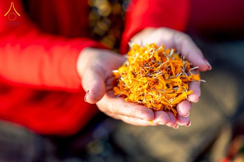 ภาพ No.212989:วันที่ 14 - 15 มีนาคม พ.ศ. 2568 คณะสงฆ์และสามเณรเดินธรรมยาตรา ในโครงการบวชสามเณรเนปาล 500 รูป ไปยังสถานที่รอบมายาเทวีและลุมพินีเกรด ณ ลุมพินี ประเทศเนปาล