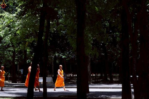 ภาพ No.238044:วันเสาร์ที่ 9 สิงหาคม พ.ศ. 2568 (วันพระ ขึ้น 15 ค่ำ เดือน 9) พิธีบุพเปตพลี ครั้งที่ 168 ร่วมอุทิศบุญแด่หมู่ญาติที่ล่วงลับไปแล้ว และสืบทอดอายุพระพุทธศาสนา ณ หอฉันคุณยายอาจารย์ฯ วัดพระธรรมกาย