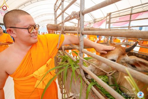 ภาพ No.161174:พิธีถวายมหาสังฆทาน 31 วัด , พิธีบุพเปตพลี , พิธีไถ่ชีวิตโค และ ปล่อยพันธ์ุปลาจำนวน 50,000 ชีวิต ณ ศูนย์การศึกษาจอมบึง ต.รางบัว อ.จอมบึง จ.ราชบุรี วันที่ 28 กันยายน พ.ศ. 2567