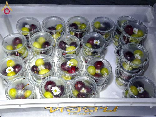 ภาพ No.200314:พิธีถวายภัตตาหารเป็นสังฆทาน แด่พระธรรมยาตรา ณ อนุสรณ์สถานบางปลา วัดบางปลา อำเภอบางเลน จังหวัดนครปฐม ในโครงการธรรมยาตรา กตัญญูบูชา มหาปูชนียาจารย์ พระมงคลเทพมุนี(สด จนฺทสโร) พระผู้ปราบมาร อนุสรณ์สถาน 7 แห่ง ปีที่ 13 วันที่ 23 มกราคม พ.ศ. 2568