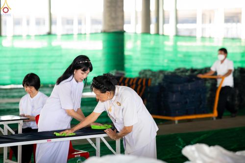 ภาพ No.322399:วันที่ 16 เมษายน พ.ศ.2569 การจัดเตรียมเบาะรองนอน เช็ดทำความสะอาด  เพื่องานถวายมหาสังฆทาน 40,000 กว่าวัดทั่วประเทศ วันคุ้มครองโลก 22 เมษายน พ.ศ.2569 วัดพระธรรมกาย