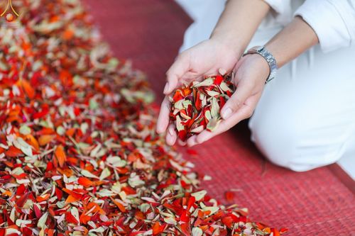 ภาพ No.70643:พิธีต้อนรับพระธรรมยาตรา ในโครงการธรรมยาตรากตัญญูบูชา มหาปูชนียาจารย์ พระมงคลเทพมุนี(สด จนฺทสโร) พระผู้ปราบมาร อนุสรณ์สถาน 7 แห่ง ปีที่ 11 วันที่ 14 มกราคม พ.ศ. 2566 ณ อนุสรณ์สถานลำดับที่ 3 สถานที่เกิดในเพศสมณะ วัดสองพี่น้อง อ.สองพี่น้อง จ.สุพรรณบุรี