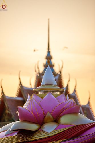 ภาพ No.73150:พุทธบุตรธรรมยาตรา ปฏิบัติธรรมและบันทึกภาพประวัติศาสตร์ ในโครงการธรรมยาตรากตัญญูบูชา มหาปูชนียาจารย์ พระมงคลเทพมุนี(สด จนฺทสโร) พระผู้ปราบมาร อนุสรณ์สถาน 7 แห่ง ปีที่ 11 ณ วัดโบสถ์ (บน) ต.บางคูเวียง อ.บางกรวย จ.นนทบุรี วันที่ 19 มกราคม พ.ศ. 2566