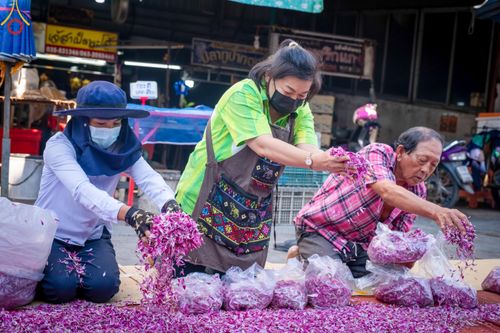 ภาพ No.105623:พิธีต้อนรับพระธรรมยาตรา ในโครงการธรรมยาตรากตัญญูบูชา มหาปูชนียาจารย์ พระมงคลเทพมุนี(สด จนฺทสโร) พระผู้ปราบมาร อนุสรณ์สถาน 7 แห่ง ปีที่ 12 วันที่ 3 มกราคม พ.ศ. 2567 ณ อนุสรณ์สถานโลตัสแลนด์ จ.สุพรรณบุรี