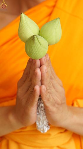 ภาพ No.66156:พิธีอุปสมบทวัดราษฎร์ประคองธรรม อ.บางใหญ่ จ.นนทบุรี รับบุญจัดงานโดยสำนักต่างประเทศ เมื่อวันที่ 7 ธันวาคม พ.ศ. 2565