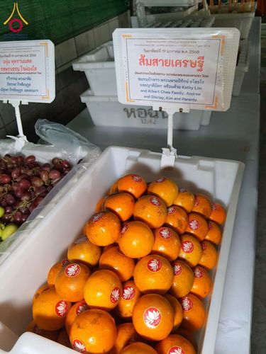 ภาพ No.197999:สาธุชนถวายภัตตาหารเป็นสังฆทาน แด่พระธรรมยาตรา ณ วัดโบสถ์(บน) ตำบลบางคูเวียง อำเภอบางกรวย จังหวัดนนทบุรี ในโครงการธรรมยาตรา กตัญญูบูชา มหาปูชนียาจารย์ พระมงคลเทพมุนี(สด จนฺทสโร) พระผู้ปราบมาร อนุสรณ์สถาน 7 แห่ง ปีที่ 13 วันที่ 19 มกราคม พ.ศ. 2568