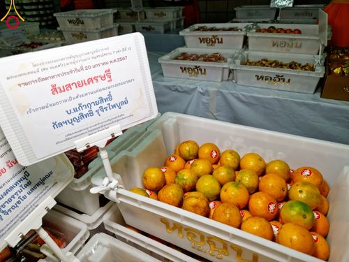 ภาพ No.115706:พิธีถวายภัตตาหารเป็นสังฆทาน แด่คณะพระธรรมยาตรา ปีที่ 12 วันที่ 20 มกราคม พ.ศ. 2567 ณ วัดโบสถ์(บน) บางคูเวียง จ.นนทบุรี