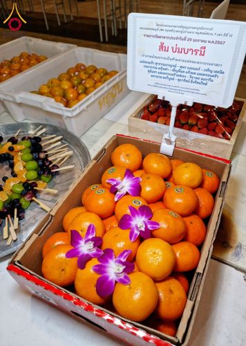 ภาพ No.120678:พิธีถวายภัตตาหารเป็นสังฆทาน แด่คณะพระธรรมยาตรา ปีที่ 12 วันที่ 29 มกราคม พ.ศ. 2567 ณ สภาธรรมกายสากล วัดพระธรรมกาย