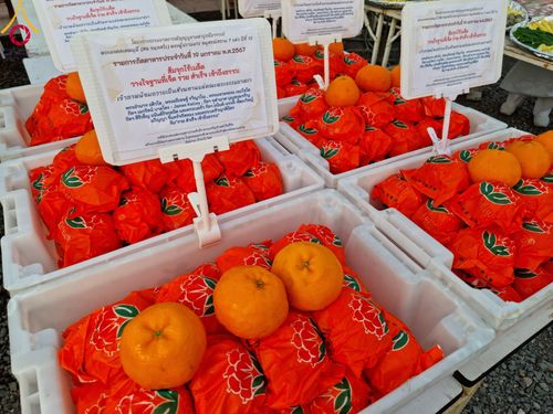 ภาพ No.115128:พิธีถวายภัตตาหารเป็นสังฆทาน แด่คณะพระธรรมยาตรา ปีที่ 12 วันที่ 19 มกราคม พ.ศ. 2567 ณ วัดโบสถ์(บน) บางคูเวียง จ.นนทบุรี