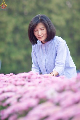 ภาพ No.102901:สาธุชนร่วมรับบุญเก็บดอกเบญจทรัพย์ ในวันที่ 19 ธันวาคม พ.ศ. 2566 (วันแรก) ณ บริเวณวัดพระธรรมกาย จ.ปทุมธานี