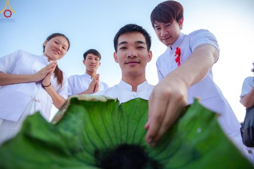 ภาพ No.179976:พิธีปลงผมนาคธรรมทายาท ในโครงการอุปสมบทหมู่ บูชาธรรมมหาปูชนียาจารย์ (ศูนย์อบรมวัดพระธรรมกาย) วันที่ 1 ธันวาคม พ.ศ. 2567 ณ ลานธรรมหารัตนวิหารคด วัดพระธรรมกาย จ.ปทุมธานี