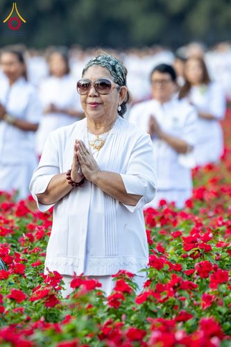 ภาพ No.185446:กิจกรรมเก็บดอกแพงรวย วันอาทิตย์ที่ 22 ธันวาคม พ.ศ. 2567 ณ ทุ่งสวรรค์ ตะวันฉาย วัดพระธรรมกาย