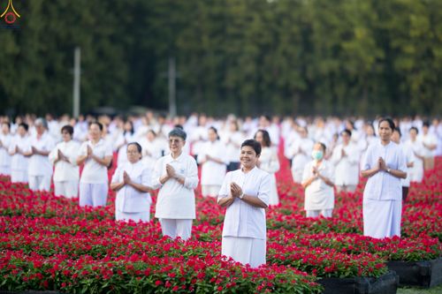 ภาพ No.280926:วันที่ 28 ธันวาคม พ.ศ.2568 กิจกรรมเก็บดอกแพงรวย ณ ทุ่งสวรรค์ตะวันฉาย วัดพระธรรมกาย